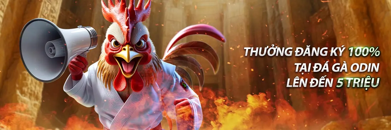 Tổng quan về okvip f168 và tầm nhìn